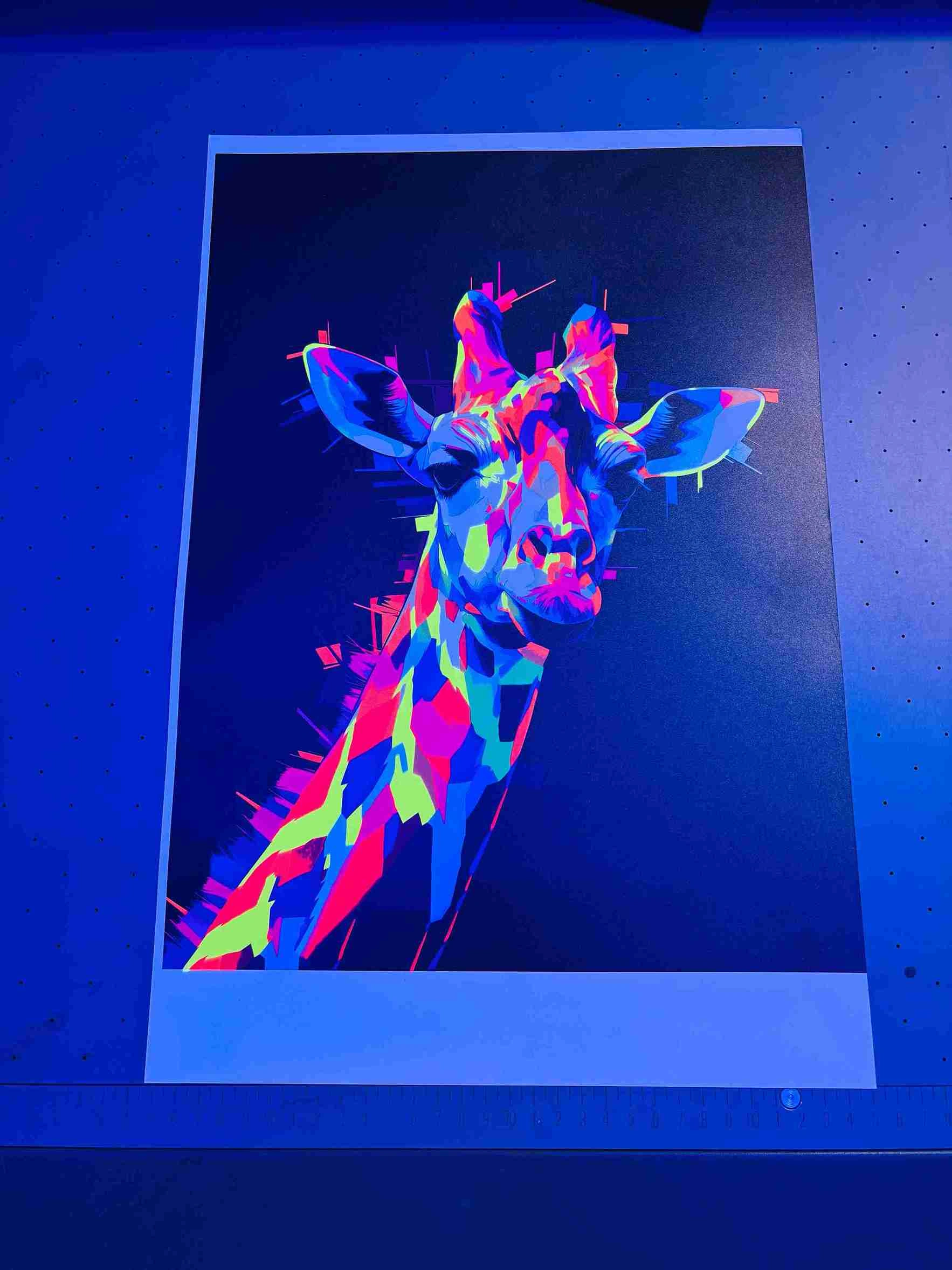 fluorescent-prints-5